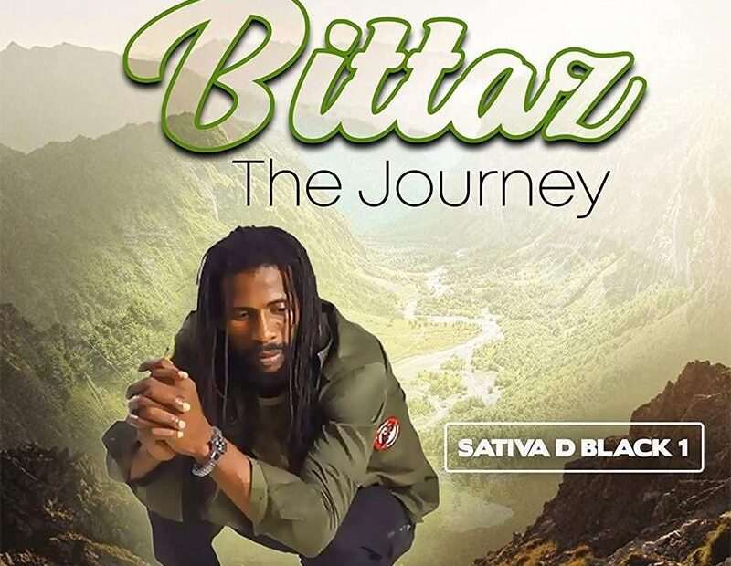 Sativa D Black 1 - Bittaz The Journey