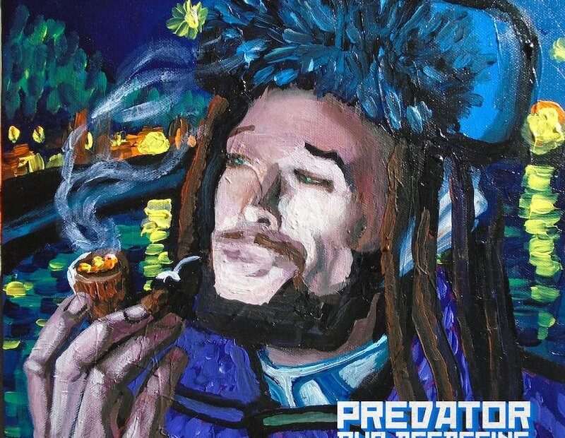 Predator Dub Assassins - On Any Sunday