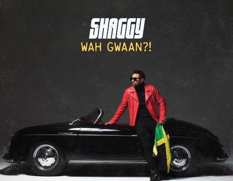 Shaggy - Wah Gwaan?!