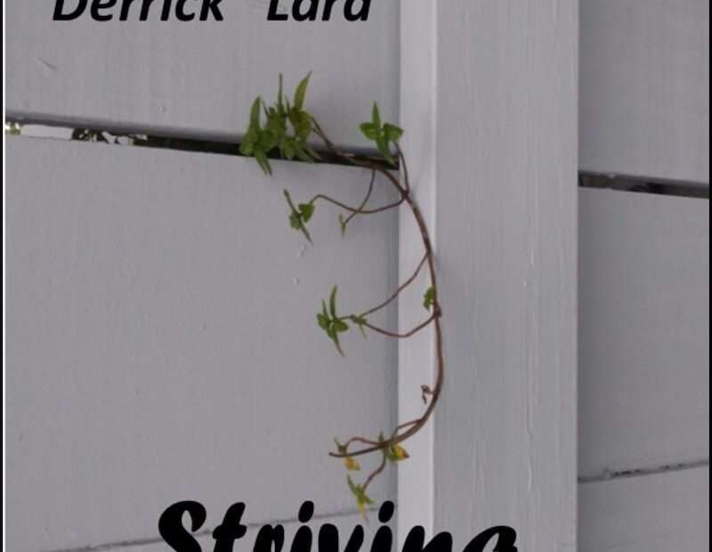 Derrick Lara - Striving EP