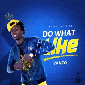 Vanzo - Do What I Like