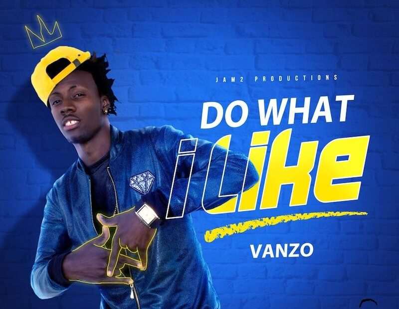 Vanzo - Do What I Like