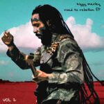 Ziggy Marley - Road To Rebellion Vol.2