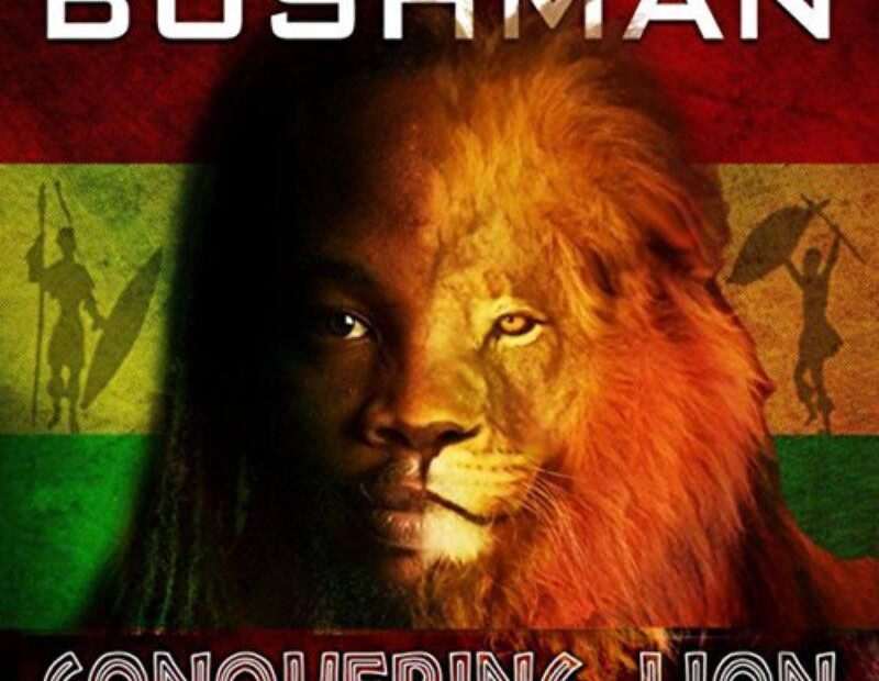 Bushman - Conquering Lion