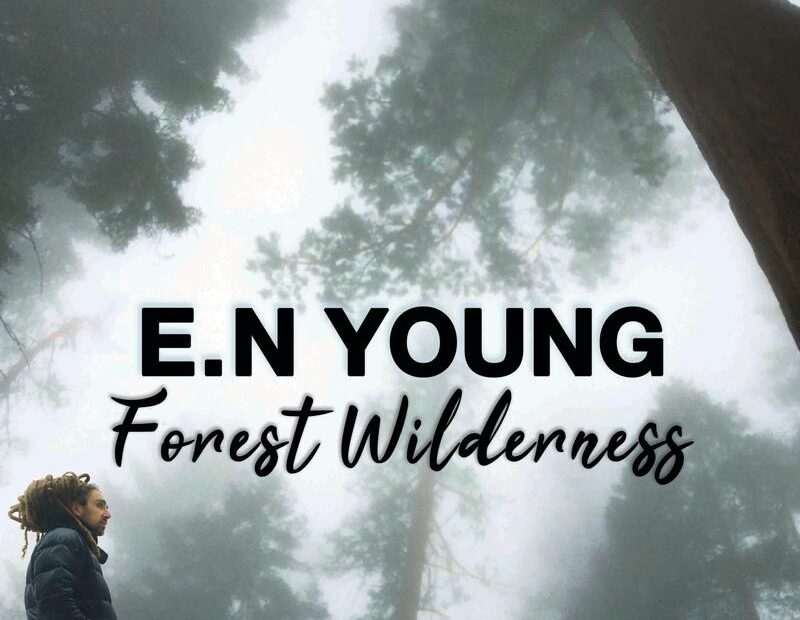 E.N Young - Forest Wilderness