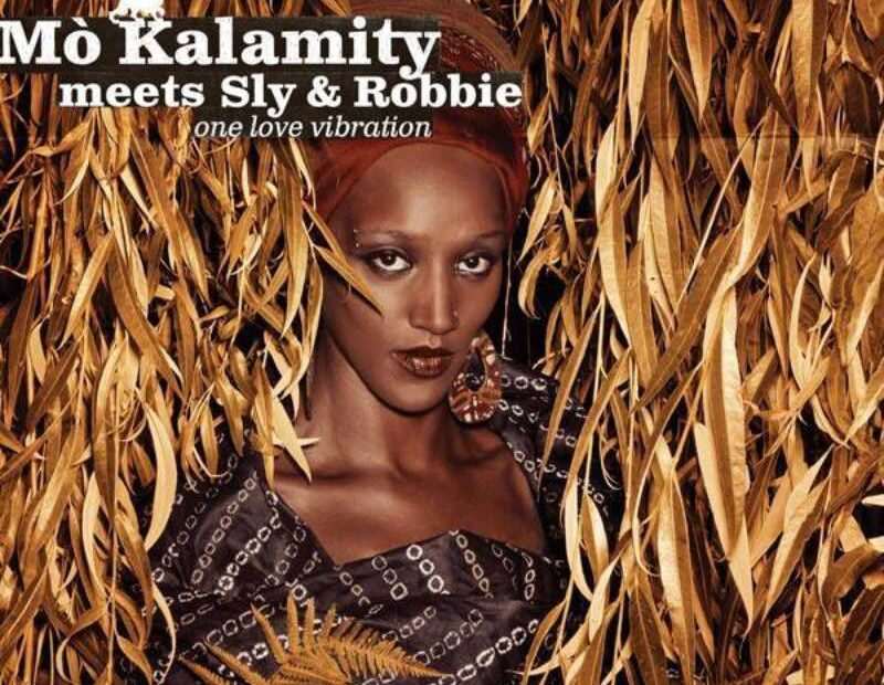Mo'kalamity Meets Sly & Robbie - One Love Vibration