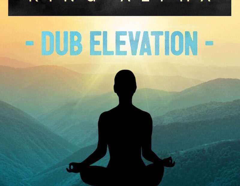 King Alpha - Dub Evolution Vol.2