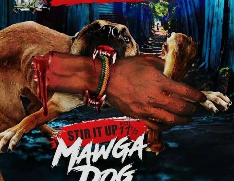 Twin Of Twins - Stir It Up Vol.11.5: Mawga Dog