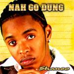 Shane O - Nah Go Dung EP