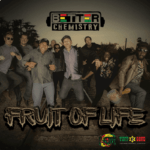 Better Chemistry - Fruit Of Life
