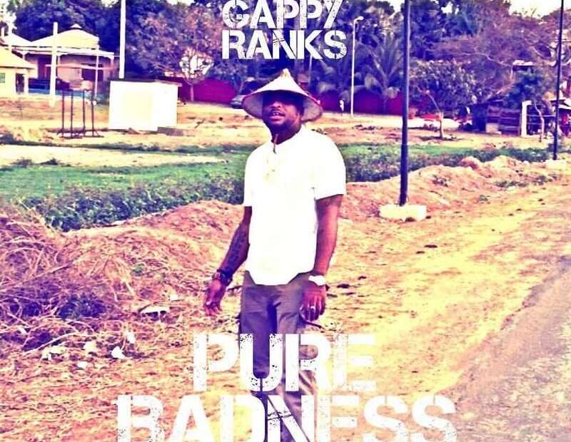 Gappy Ranks - Pure Badness