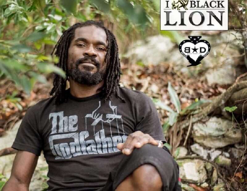 IBlack Lion - IBlack Lion