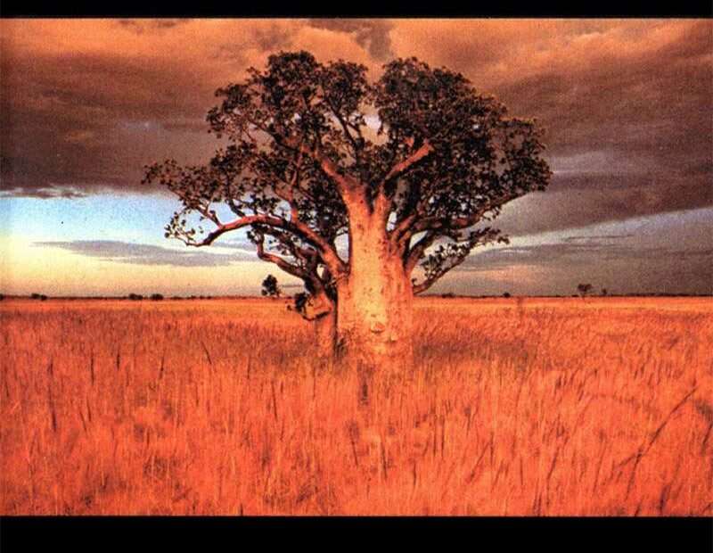 Andru Branch - What If I Told You