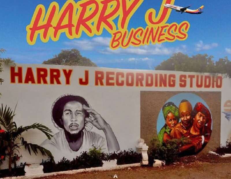 Chainska Brassika - Harry J Business