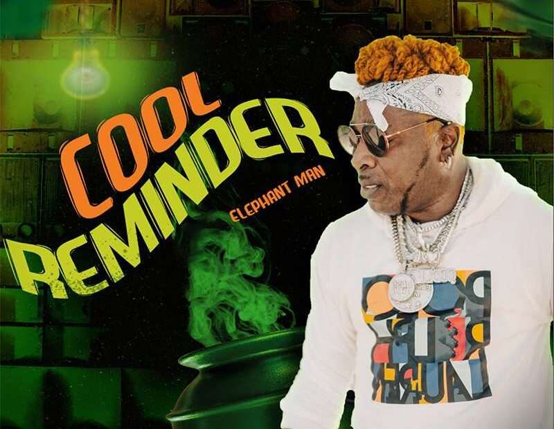 Elephant Man - Cool Reminder