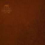 Lloyd Brown - The Brown Album