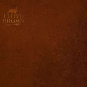 Lloyd Brown - The Brown Album