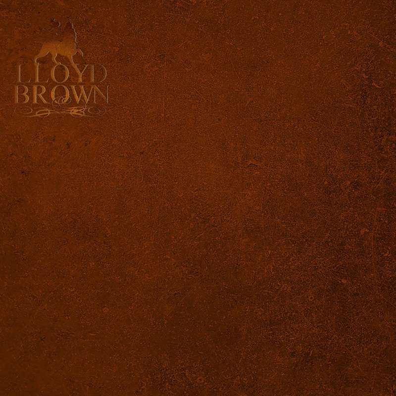 Lloyd Brown - The Brown Album