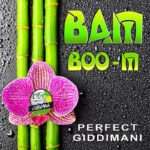 perfectgiddimani bamboo m