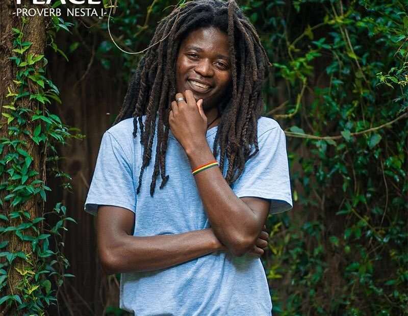 Proverb Nesta I - Happy Place