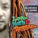 Taj Weekes & Adowa - Love, Herb & Reggae