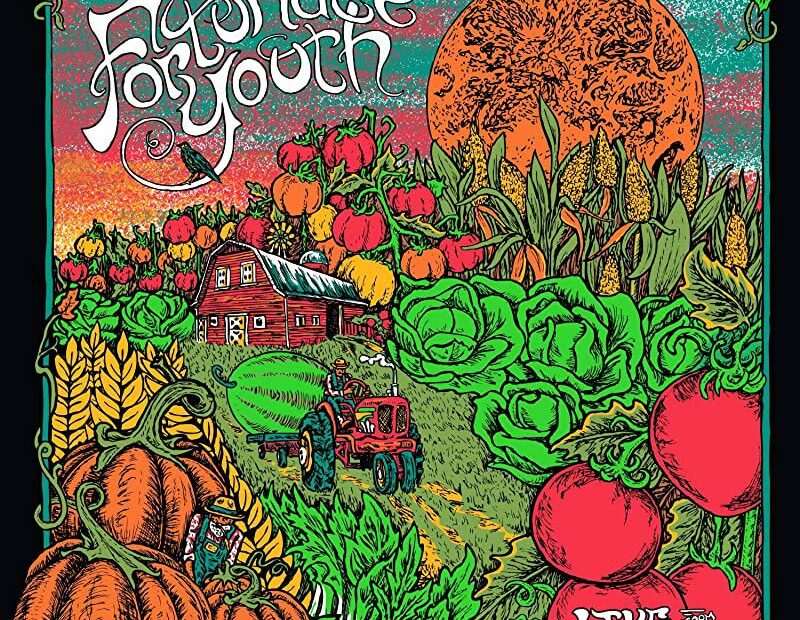 Fortunate Youth - Live From California