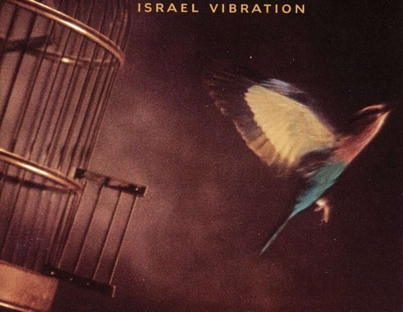 Israel Vibration - Free To Move