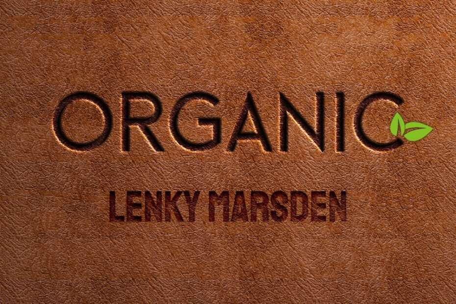 Lenky Marsden - Organic EP