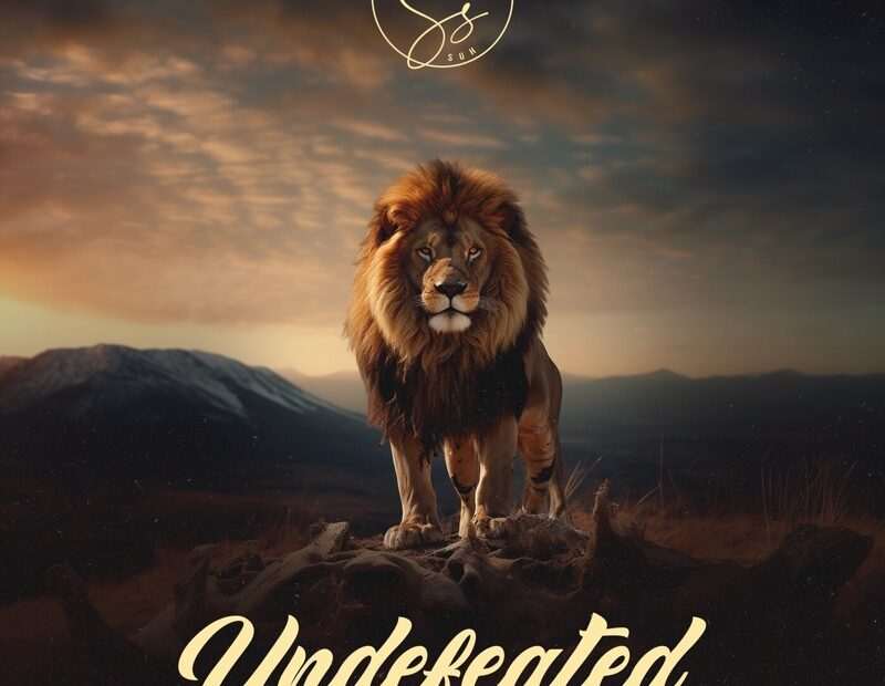 Samuel Suh - Undefeated