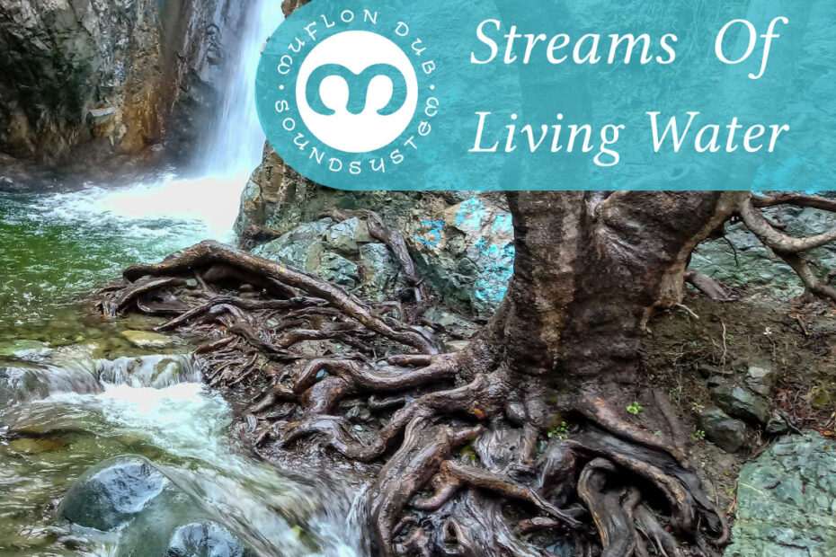Muflon Dub Soundsystem - Streams Of Living Water