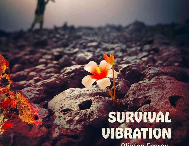 Clinton Fearon - Survival Vibration
