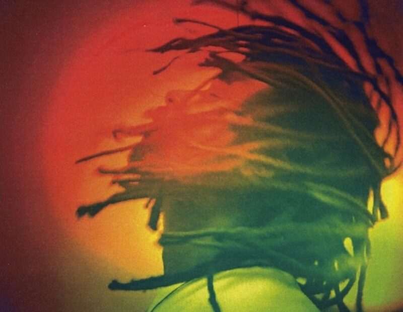 Junior Roots - Reggae Got Soul