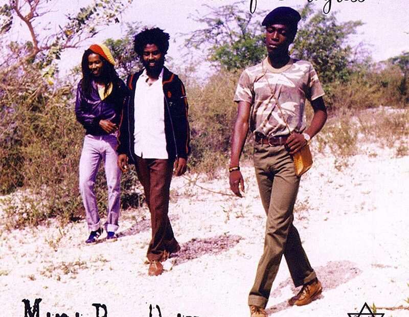 Voice Of Progress - Mini Bus Driver