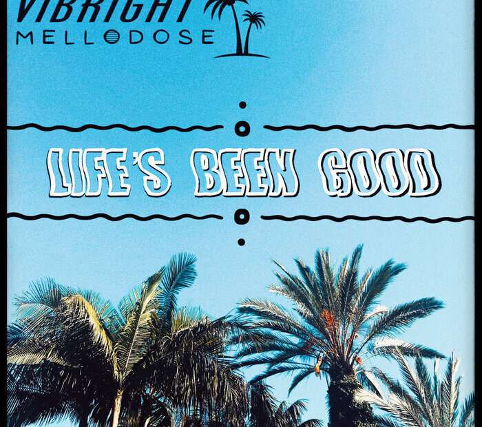 Vibright x Mellodose – Life’s Been Good