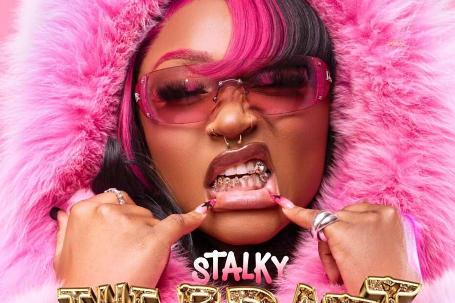 Stalk Ashley - Stalky the Bratt