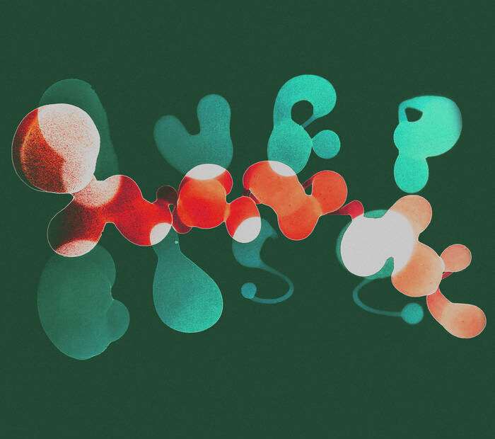 Umberto Echo, TOYTOY - Surprise, Surprise