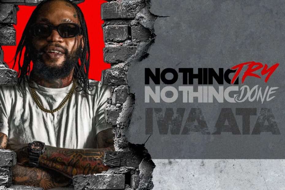 Iwaata - Nothing Try Nothing Done