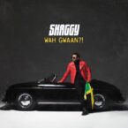 Shaggy – Wah Gwaan?!