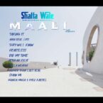 Shatta Wale – MAALI