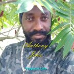 Anthony John – Tropical Life