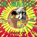 Big Mountain – Free Up