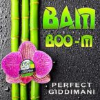 Perfect Giddimani – Bamboo-M